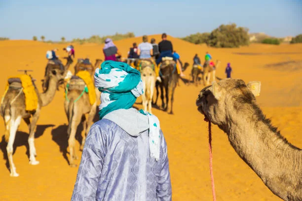 Unforgettable Experiences for Your Trip to Morocco!