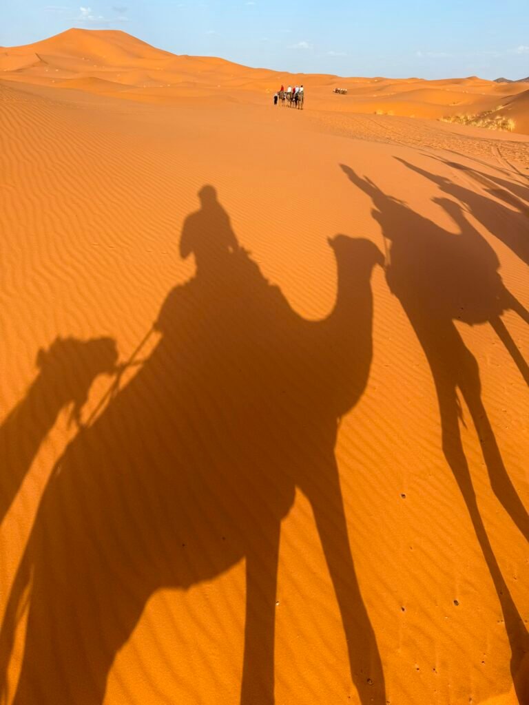 What Our Travelers Say About Us Your Trip In Morocco