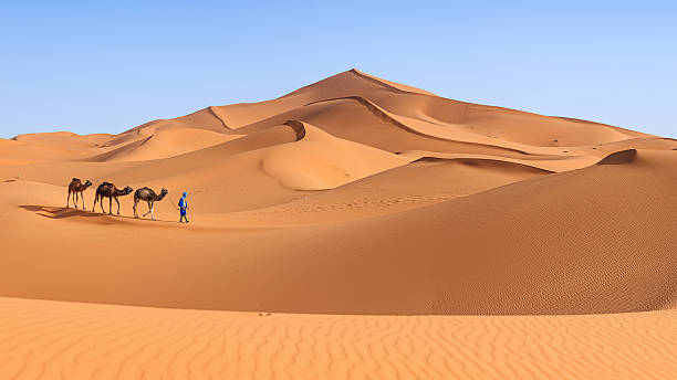 10 Days Morocco Tours from Casablanca