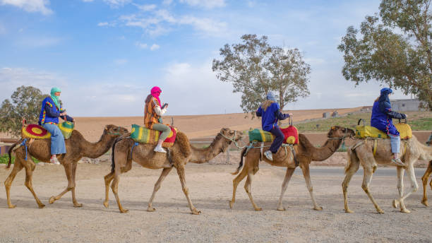 Agafay Desert Sunset Camel Ride