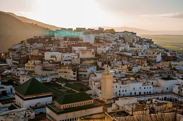 Day trip from Fes to Volubilis Meknes