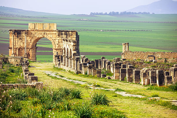 Day trip from Fes to Volubilis Meknes