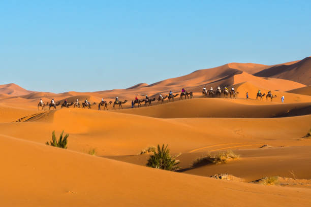 4-Days Morocco Tour From Casablanca