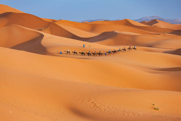 3 days - Fes to Marrakech desert tour