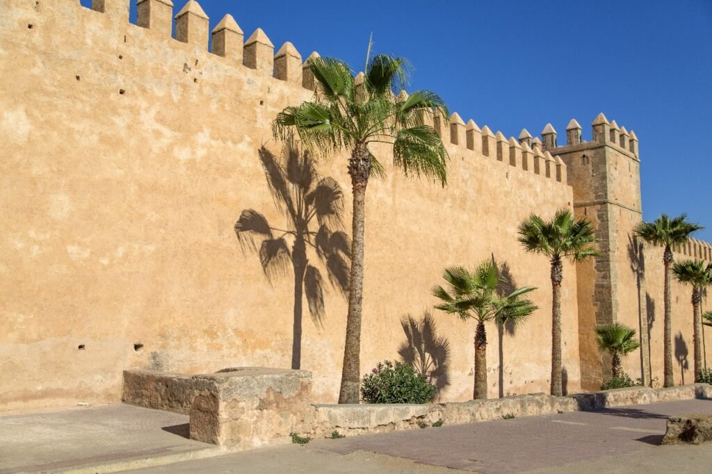 Discover Marrakech and Beyond