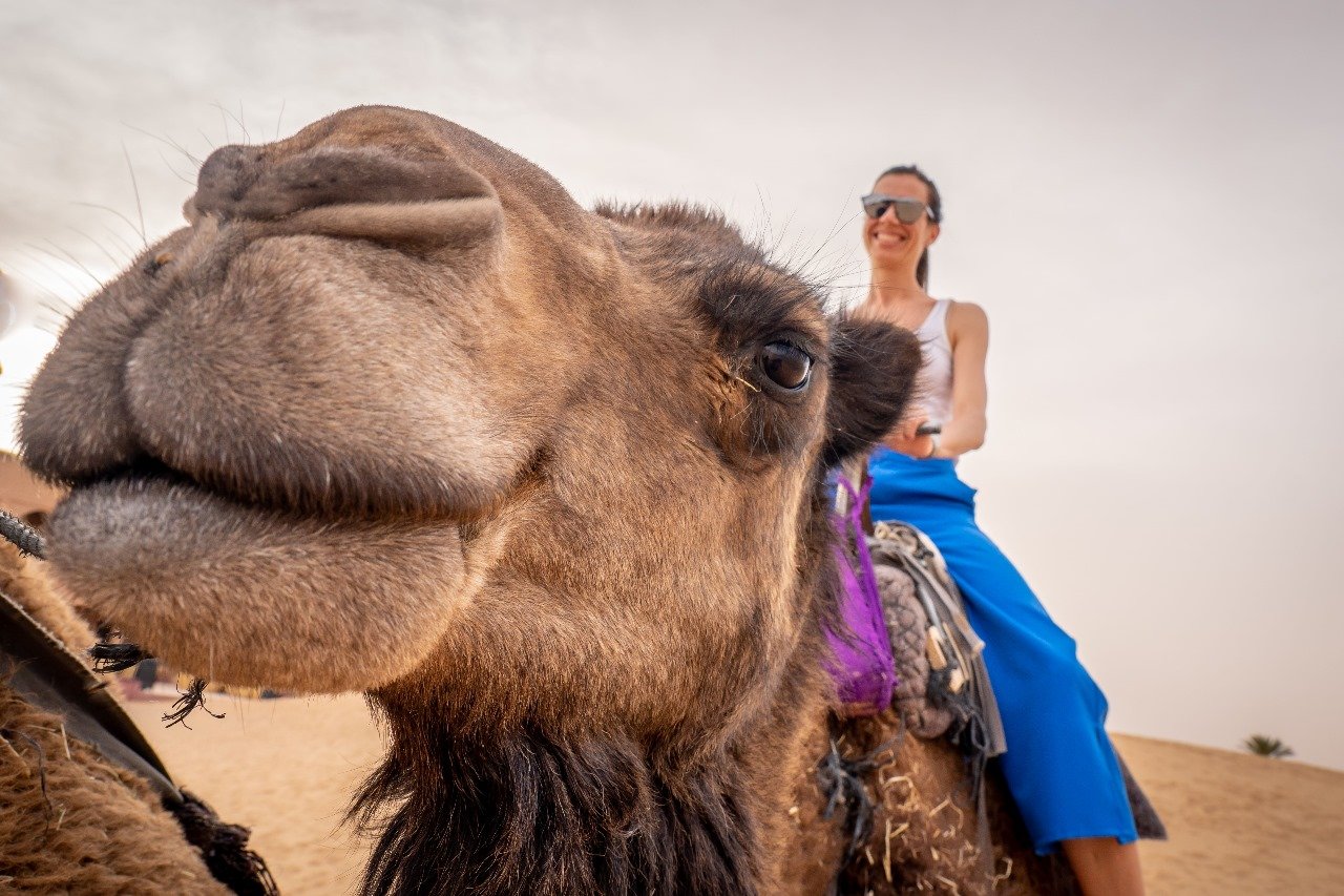 Explore Morocco from Marrakech to Merzouga