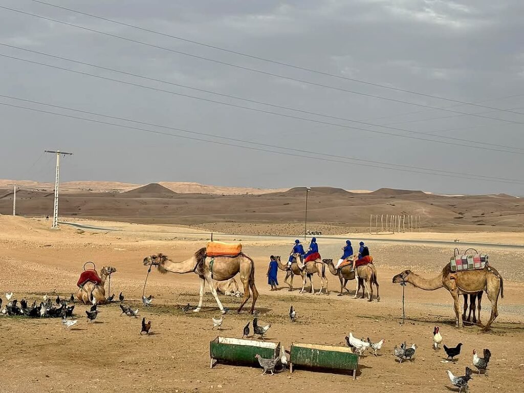 Agafay Desert Excursion from Marrakech