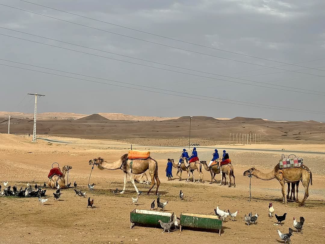 Agafay Desert Excursion from Marrakech